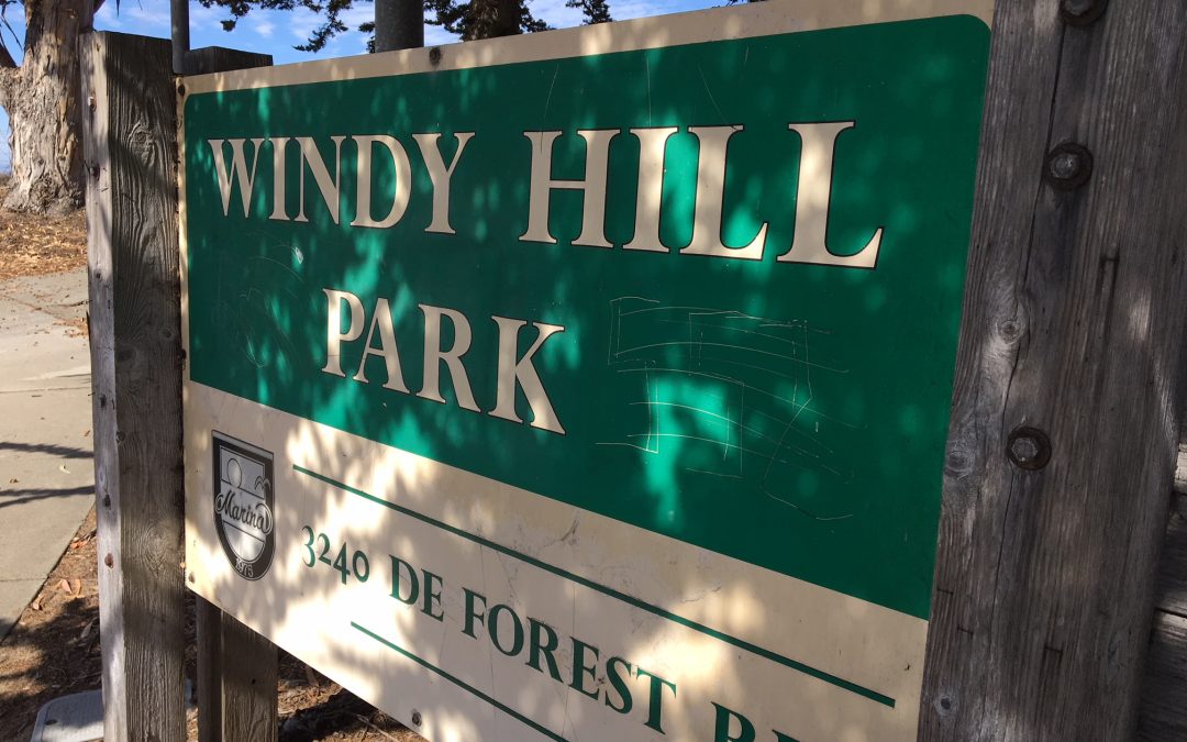 Windy Hill Park Beautification Day
