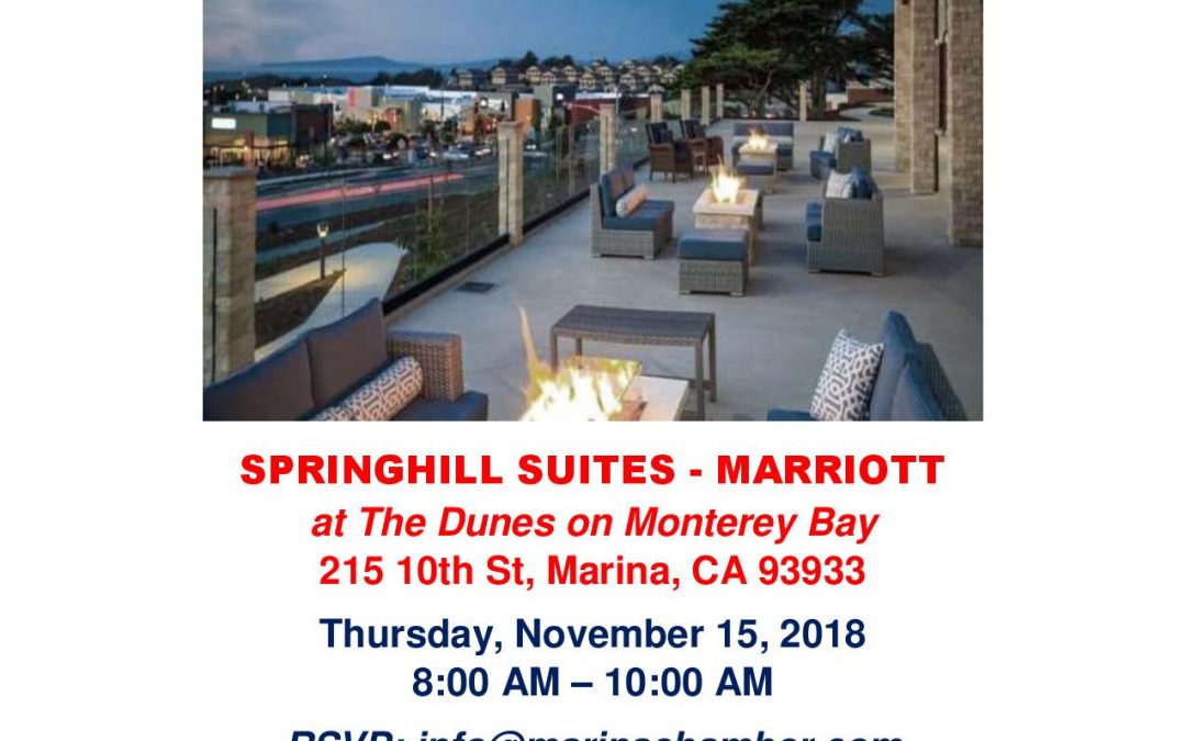 MARINA CHAMBER OF COMMERCE YEAR-END MIXER