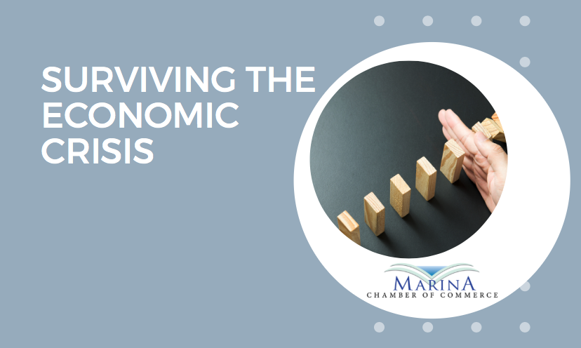 Surviving the Economic Crisis in Marina Meeting Video & Summary
