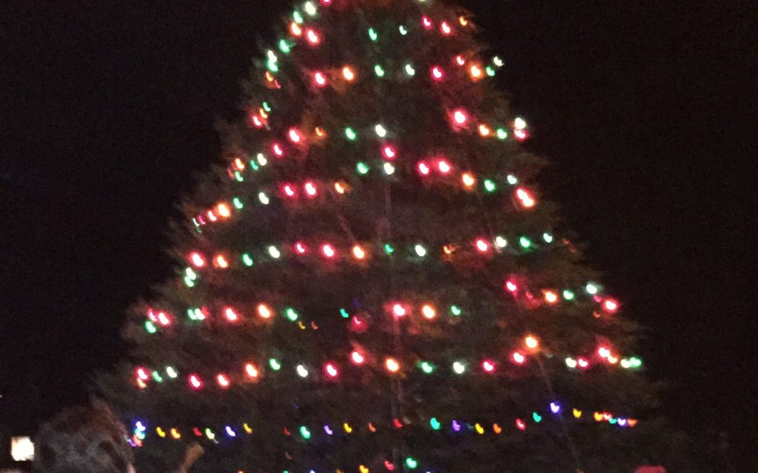 The Marina Foundation Christmas Tree Lighting Celebration