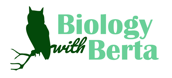 Member Spotlight: Biology with Berta